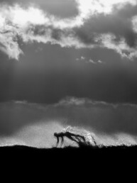 Photo de surfeur, photographie d'art, noir et blanc