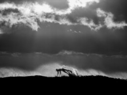 Photo de surfeur, photographie d'art, noir et blanc