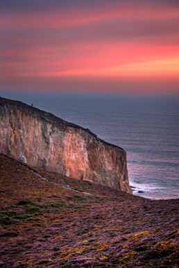 Tirage d'art des falaises de la Presqu'île de Crozon en Bretagne au coucher du soleil, tapis de bruyère et d'ajoncs en fleurs.