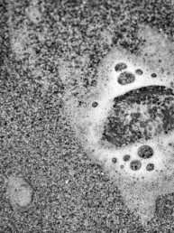 Photographie d'art en noir et blanc d'une méduse faisant un effet loupe sur les grains de sable d'une place bretonne. Tirage d'art numéroté et signé par Cécile Hoynant, photographe de mer en Bretagne. Série limitée. Impression sur papier Fine Art.