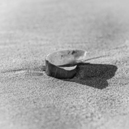 Photographie d'art en noir et blanc d'une algue à l'aspect très brillant. Tirage d'art numéroté et signé par Cécile Hoynant, photographe de mer en Bretagne. Série limitée. Impression sur papier Fine Art.