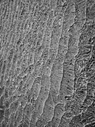 Tirage d'art d'une photo en noir et blanc, en série limitée, numéroté et signé. Fine pellicule d'eau de mer sur une plage de sable formant une superbe mosaïque.